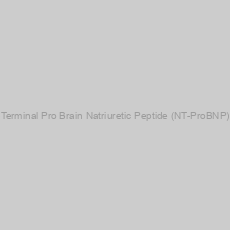 Image of Human N-Terminal Pro Brain Natriuretic Peptide (NT-ProBNP) ELISA Kit